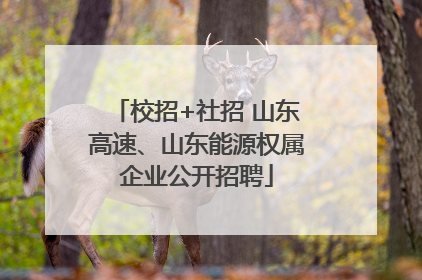 校招+社招 山东高速、山东能源权属企业公开招聘