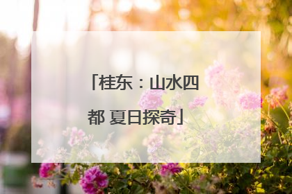 桂东：山水四都 夏日探奇
