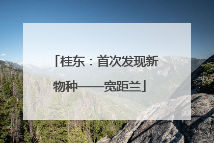 桂东：首次发现新物种——宽距兰