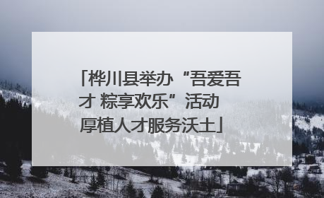 桦川县举办“吾爱吾才 粽享欢乐”活动 厚植人才服务沃土