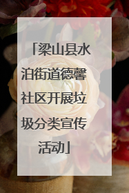 梁山县水泊街道德馨社区开展垃圾分类宣传活动