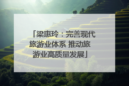 梁惠玲：完善现代旅游业体系 推动旅游业高质量发展