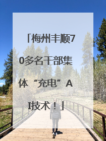 梅州丰顺70多名干部集体“充电”AI技术！