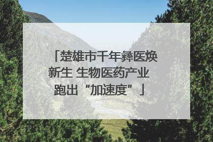 楚雄市千年彝医焕新生 生物医药产业跑出“加速度”