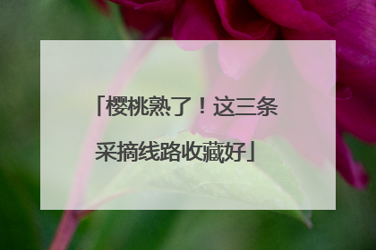 樱桃熟了！这三条采摘线路收藏好
