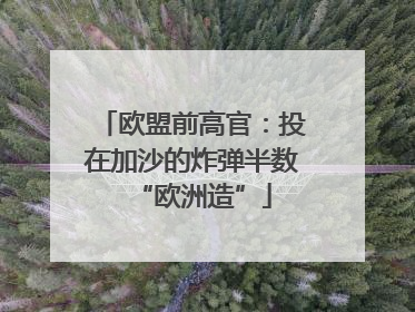 欧盟前高官：投在加沙的炸弹半数“欧洲造”