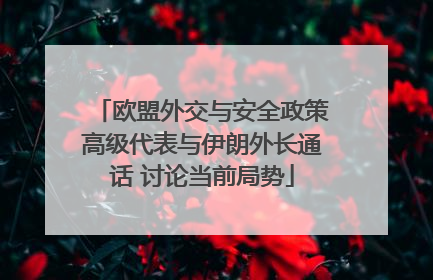 欧盟外交与安全政策高级代表与伊朗外长通话 讨论当前局势