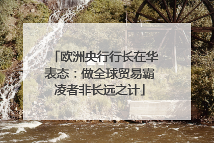 欧洲央行行长在华表态：做全球贸易霸凌者非长远之计