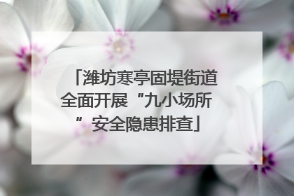 潍坊寒亭固堤街道全面开展“九小场所”安全隐患排查