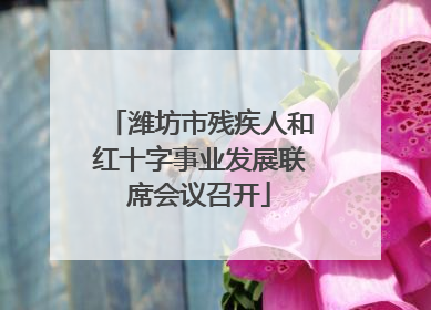 潍坊市残疾人和红十字事业发展联席会议召开