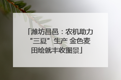 潍坊昌邑：农机助力“三夏”生产 金色麦田绘就丰收图景