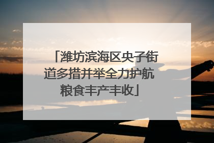 潍坊滨海区央子街道多措并举全力护航粮食丰产丰收