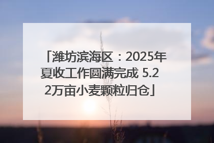 潍坊滨海区：2025年夏收工作圆满完成 5.22万亩小麦颗粒归仓