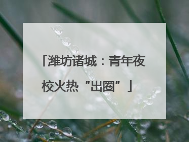 潍坊诸城：青年夜校火热“出圈”