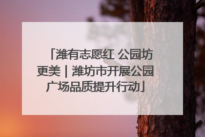 潍有志愿红 公园坊更美｜潍坊市开展公园广场品质提升行动