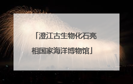 澄江古生物化石亮相国家海洋博物馆