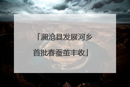 澜沧县发展河乡首批春蚕茧丰收