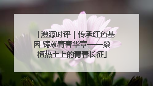 澧源时评｜传承红色基因 铸就青春华章——桑植热土上的青春长征