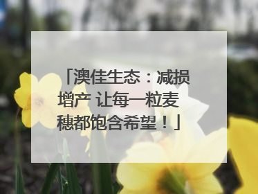 澳佳生态：减损增产 让每一粒麦穗都饱含希望！