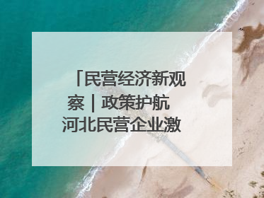民营经济新观察｜政策护航 河北民营企业激发新“冀”遇