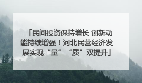 民间投资保持增长 创新动能持续增强！河北民营经济发展实现“量”“质”双提升