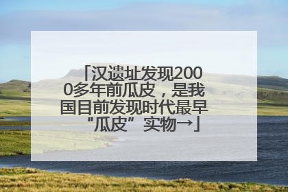 汉遗址发现2000多年前瓜皮，是我国目前发现时代最早“瓜皮”实物→