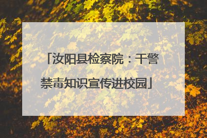 汝阳县检察院：干警禁毒知识宣传进校园