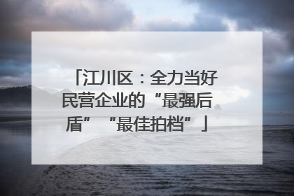 江川区：全力当好民营企业的“最强后盾”“最佳拍档”