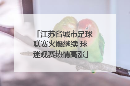 江苏省城市足球联赛火爆继续 球迷观赛热情高涨