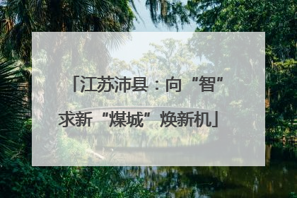 江苏沛县：向“智”求新“煤城”焕新机
