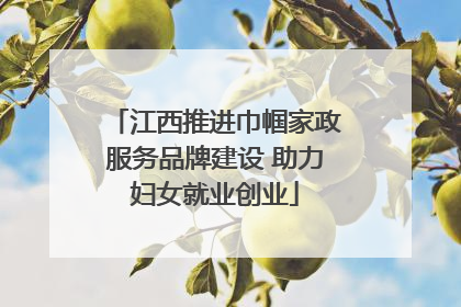 江西推进巾帼家政服务品牌建设 助力妇女就业创业