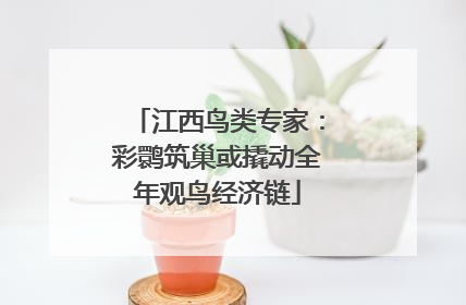 江西鸟类专家：彩鹮筑巢或撬动全年观鸟经济链