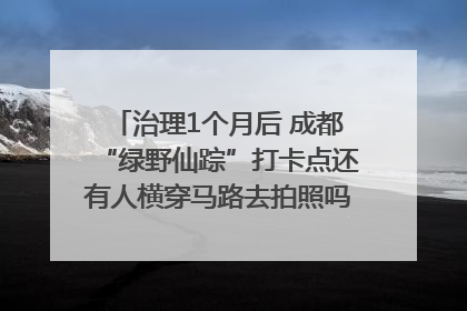治理1个月后 成都“绿野仙踪”打卡点还有人横穿马路去拍照吗？｜民情瞭望