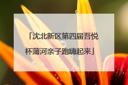 沈北新区第四届吾悦杯蒲河亲子跑嗨起来