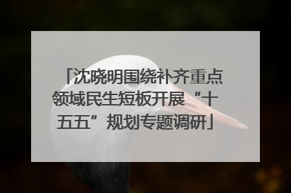 沈晓明围绕补齐重点领域民生短板开展“十五五”规划专题调研