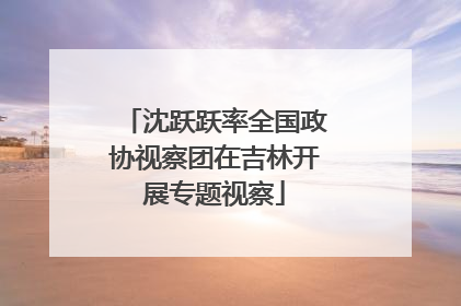 沈跃跃率全国政协视察团在吉林开展专题视察