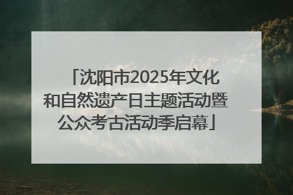 沈阳市2025年文化和自然遗产日主题活动暨公众考古活动季启幕