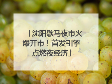沈阳歇马夜市火爆开市！首发引擎点燃夜经济