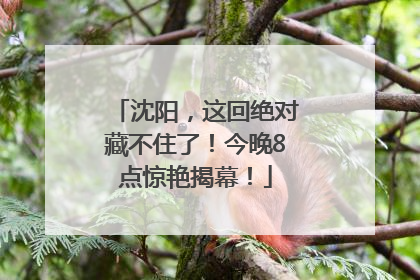 沈阳，这回绝对藏不住了！今晚8点惊艳揭幕！