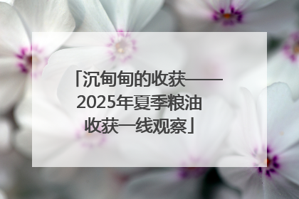 沉甸甸的收获——2025年夏季粮油收获一线观察