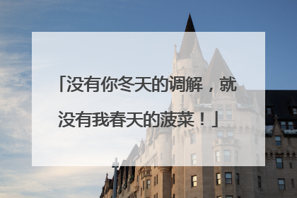 没有你冬天的调解，就没有我春天的菠菜！