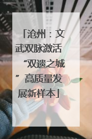沧州：文武双脉激活“双遗之城”高质量发展新样本
