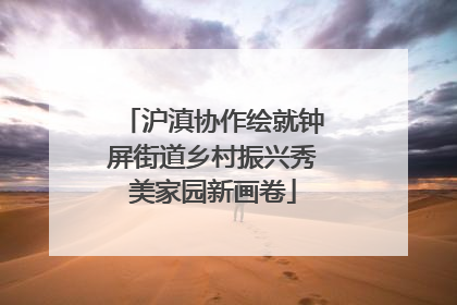 沪滇协作绘就钟屏街道乡村振兴秀美家园新画卷