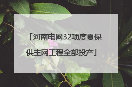 河南电网32项度夏保供主网工程全部投产