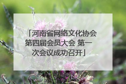 河南省网络文化协会第四届会员大会 第一次会议成功召开
