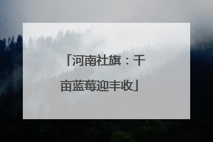 河南社旗：千亩蓝莓迎丰收