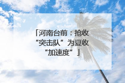河南台前：抢收“突击队”为夏收“加速度”