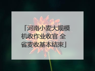 河南小麦大规模机收作业收官 全省麦收基本结束