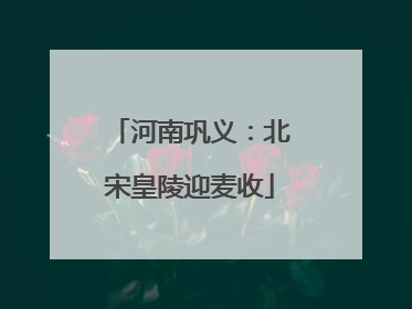 河南巩义：北宋皇陵迎麦收