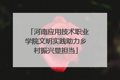 河南应用技术职业学院文明实践助力乡村振兴显担当